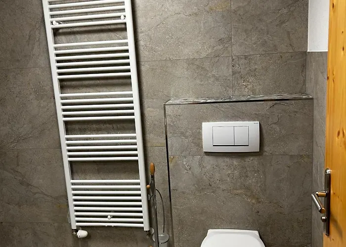 Gasthuis Gaestehaus Sieder By Schladming-appartements 3*